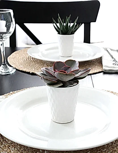 Succulent Party Pack, Set of 20