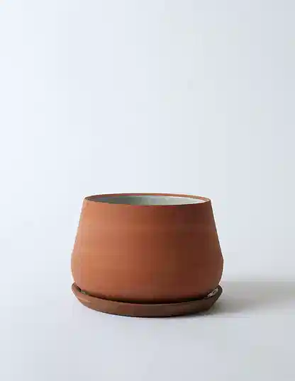 The Rancho Planter