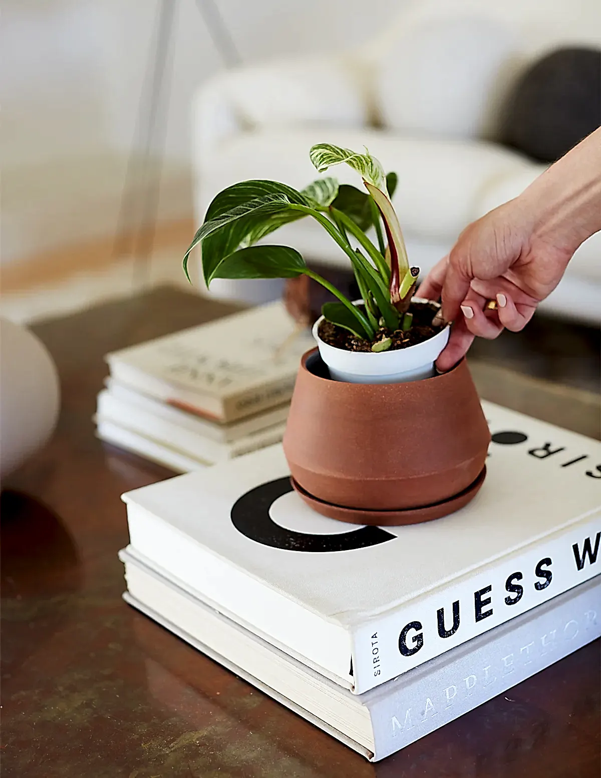The Rancho Planter