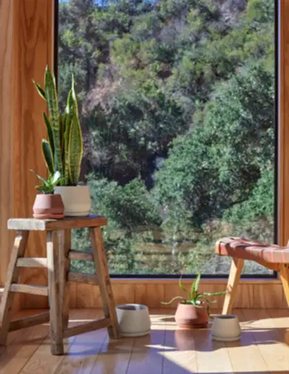 The Rancho Planter