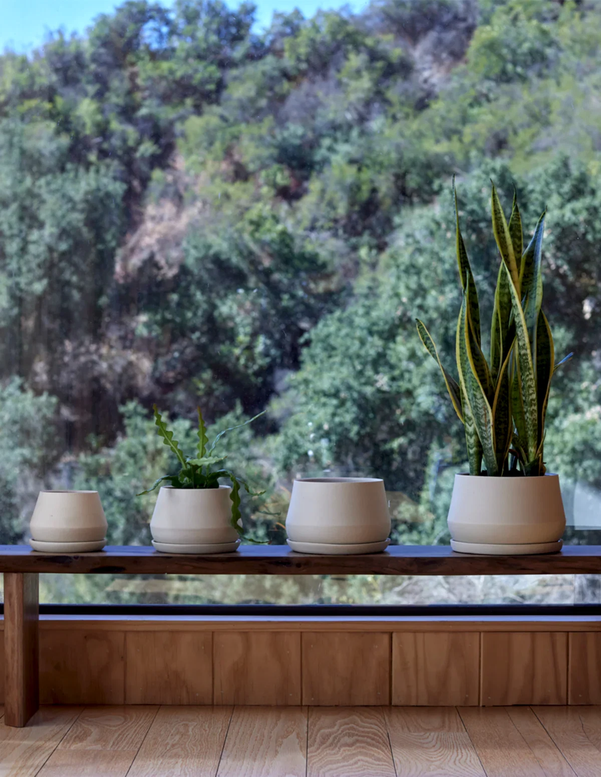 The Rancho Planter