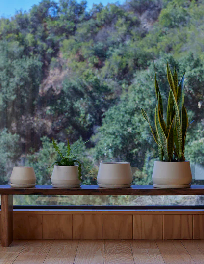 The Rancho Planter