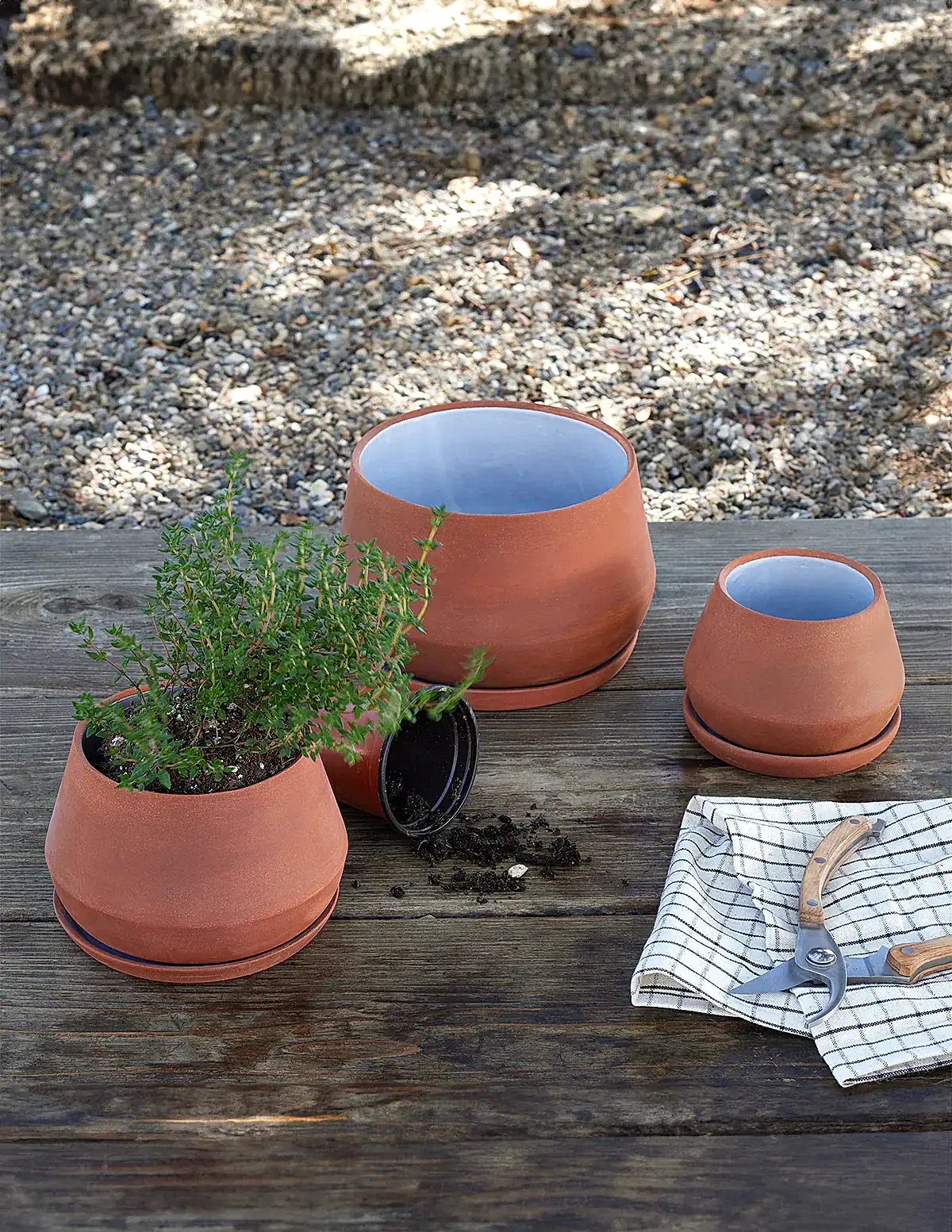 The Rancho Planter