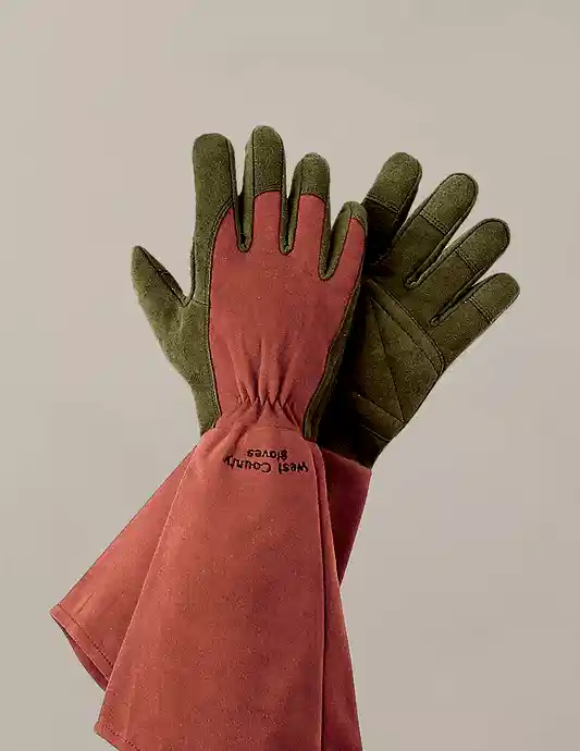 Rose Garden Gloves