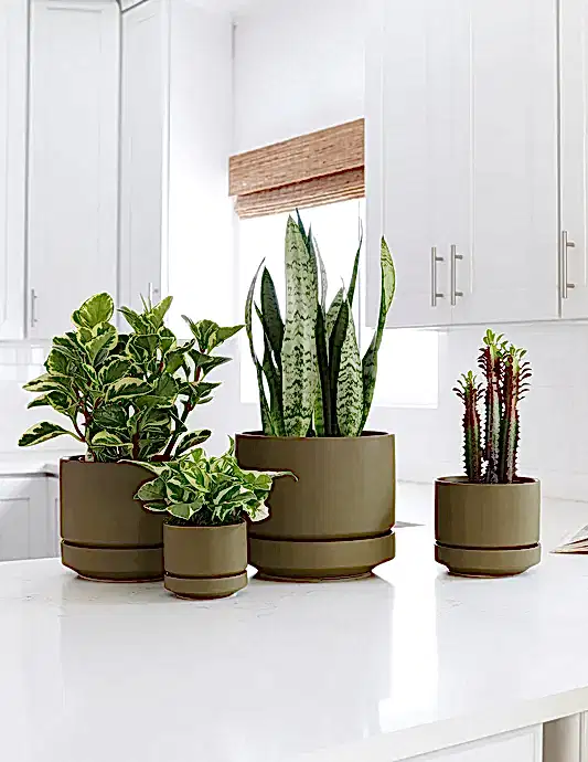 Round Two Planter