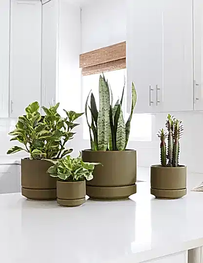 Round Two Planter