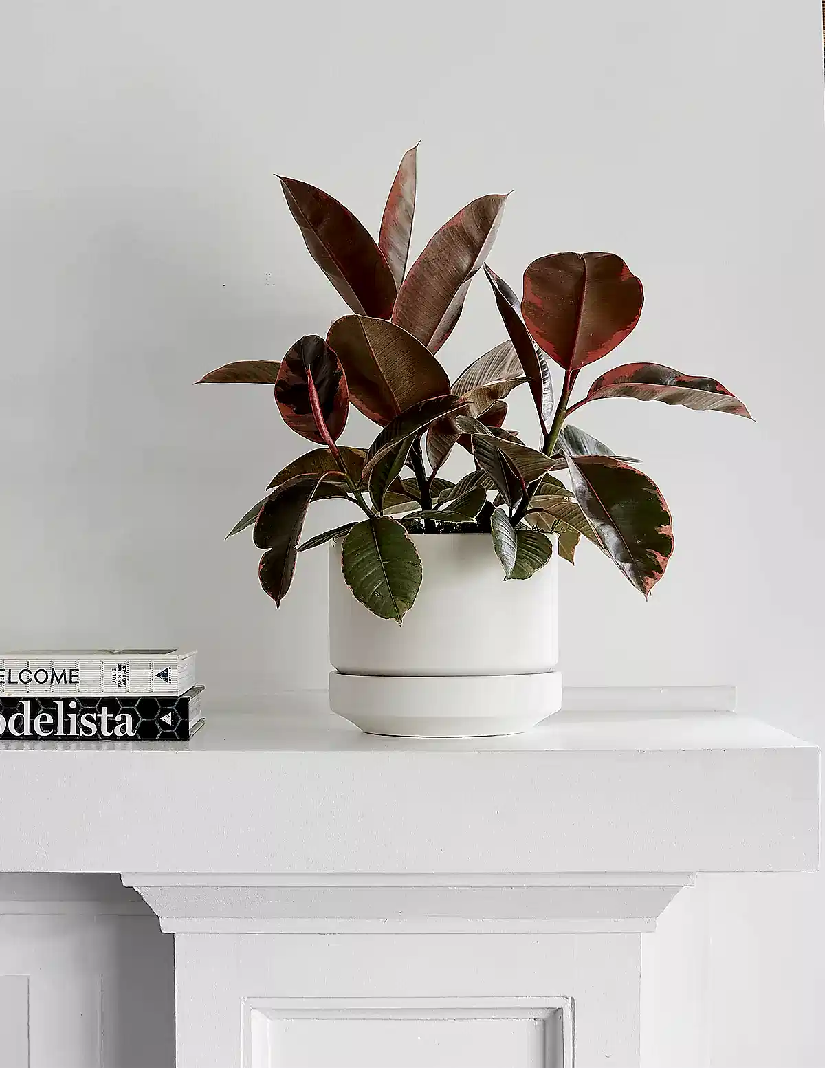 Round Two Planter