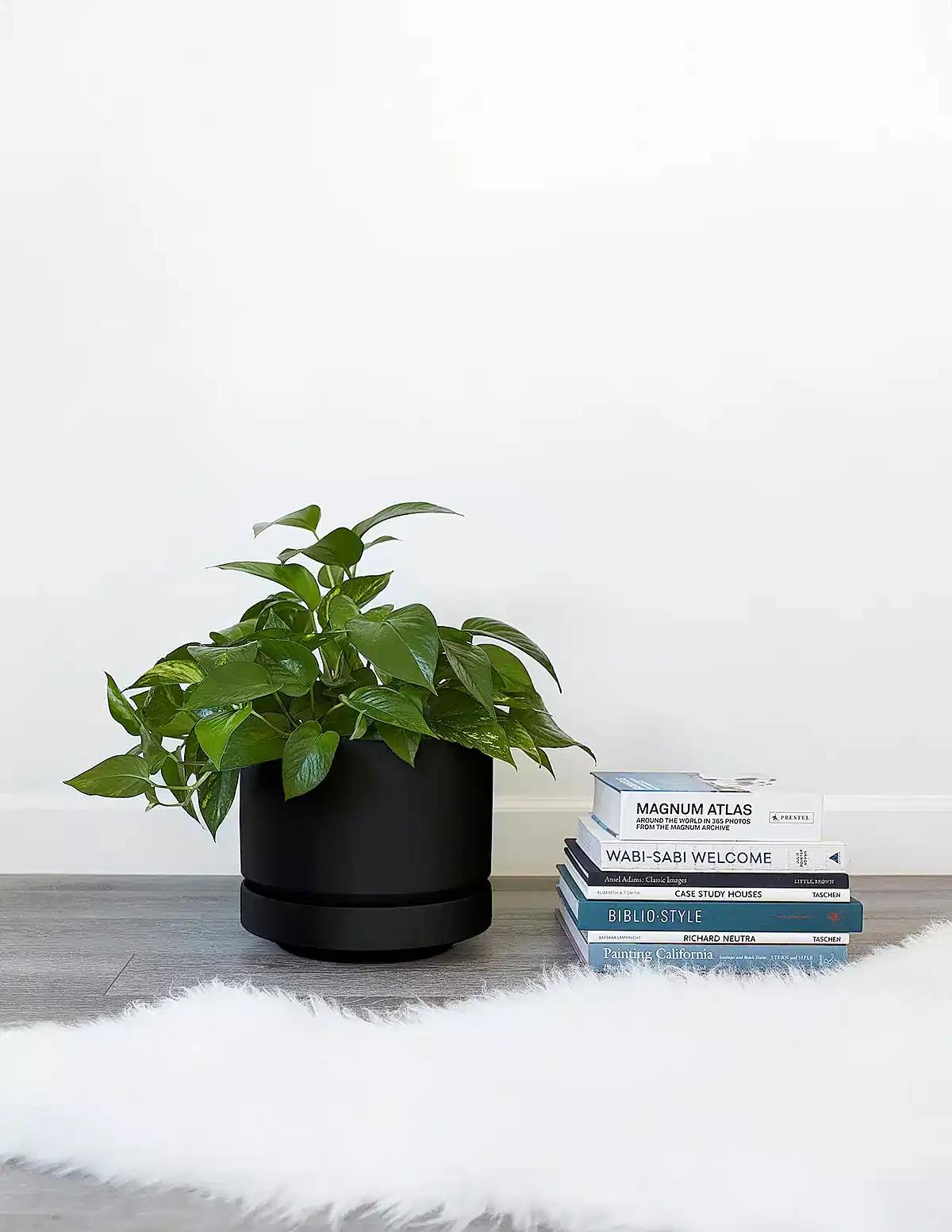 Round Two Planter