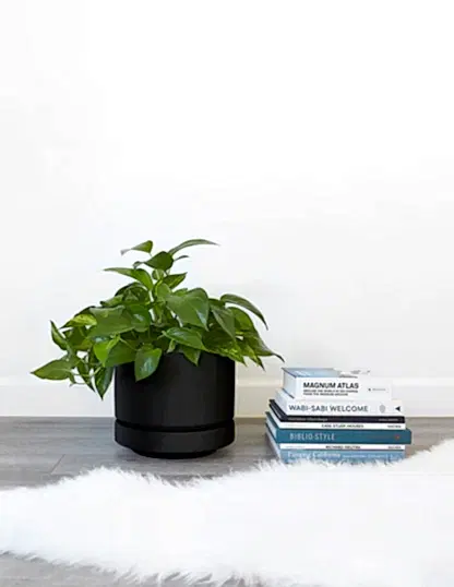Round Two Planter