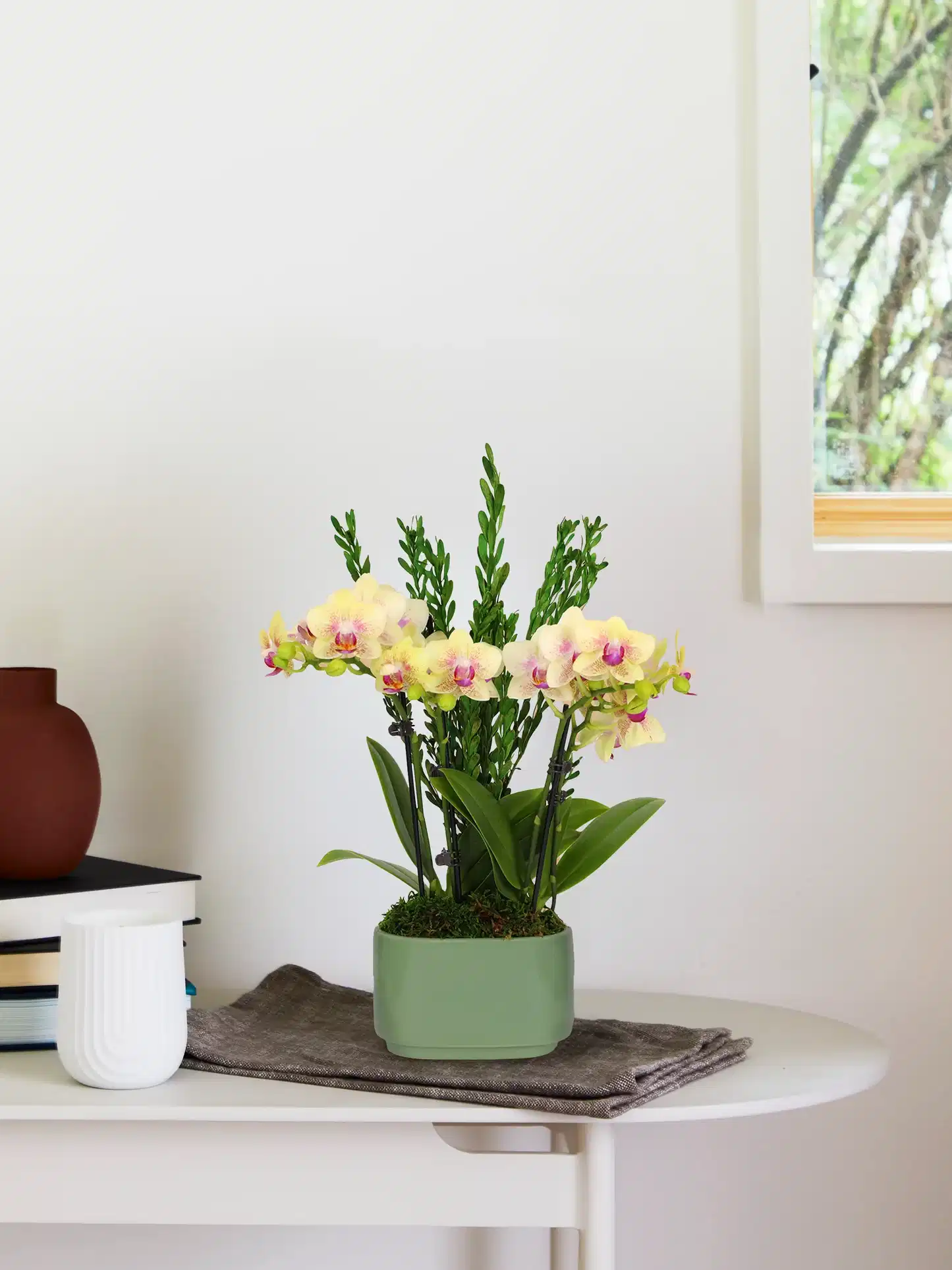 Small Double Orchid