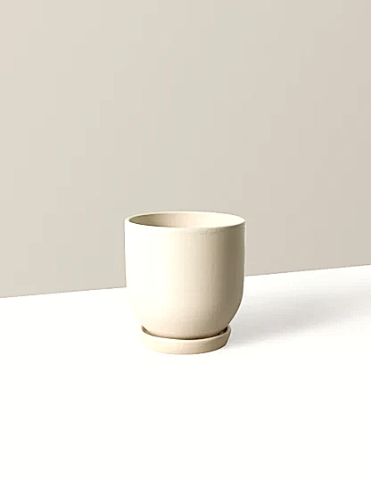 Westcott Planter