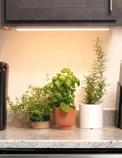 Grove Bar Light