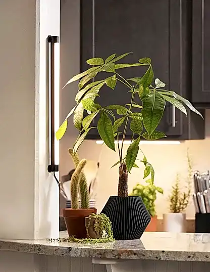Grove Bar Light