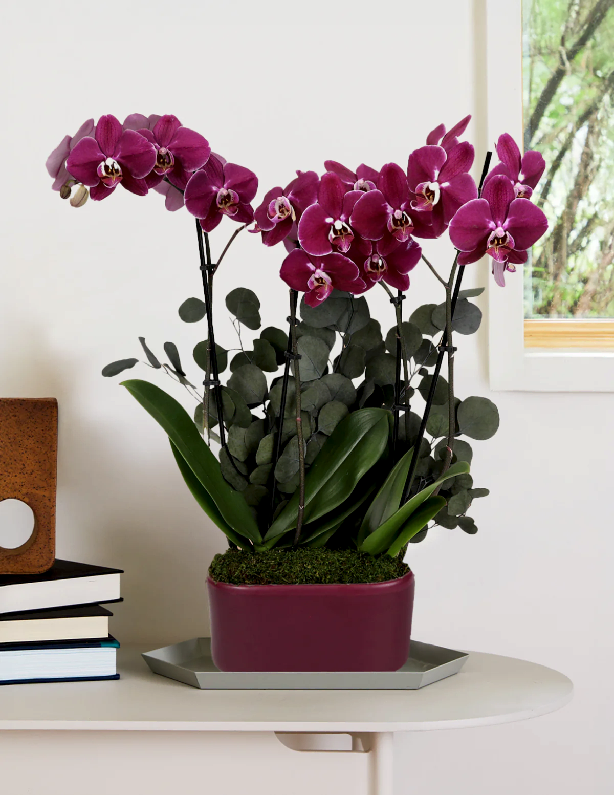Large Double Orchid