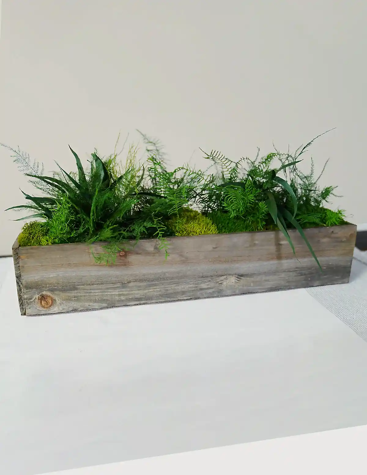 Preserved Moss & Fern Box