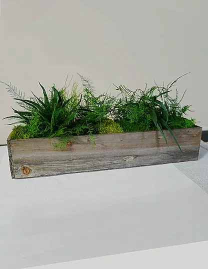 Preserved Moss & Fern Box