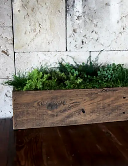Preserved Moss & Fern Box