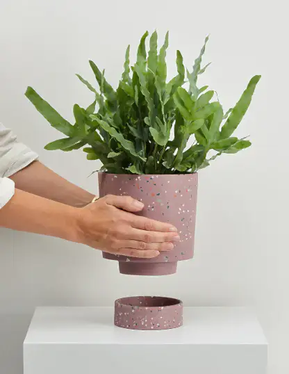 Terrazzo Banjo Planter