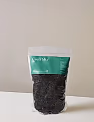 Organic Cacti Mix
