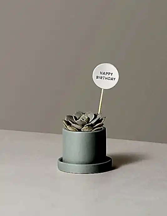 Ceramic Gift Message Pops