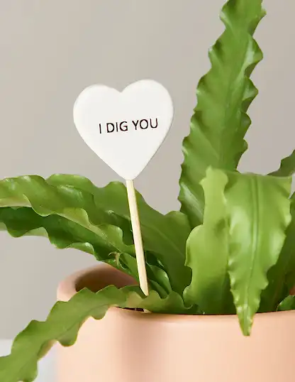 Ceramic Gift Message Pops