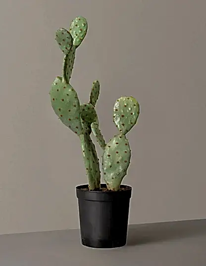 Faux Cactus