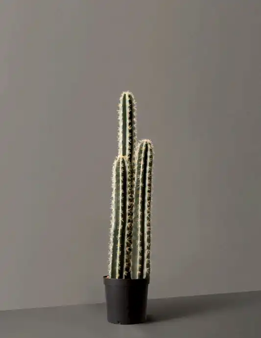 Faux Floor Cactus