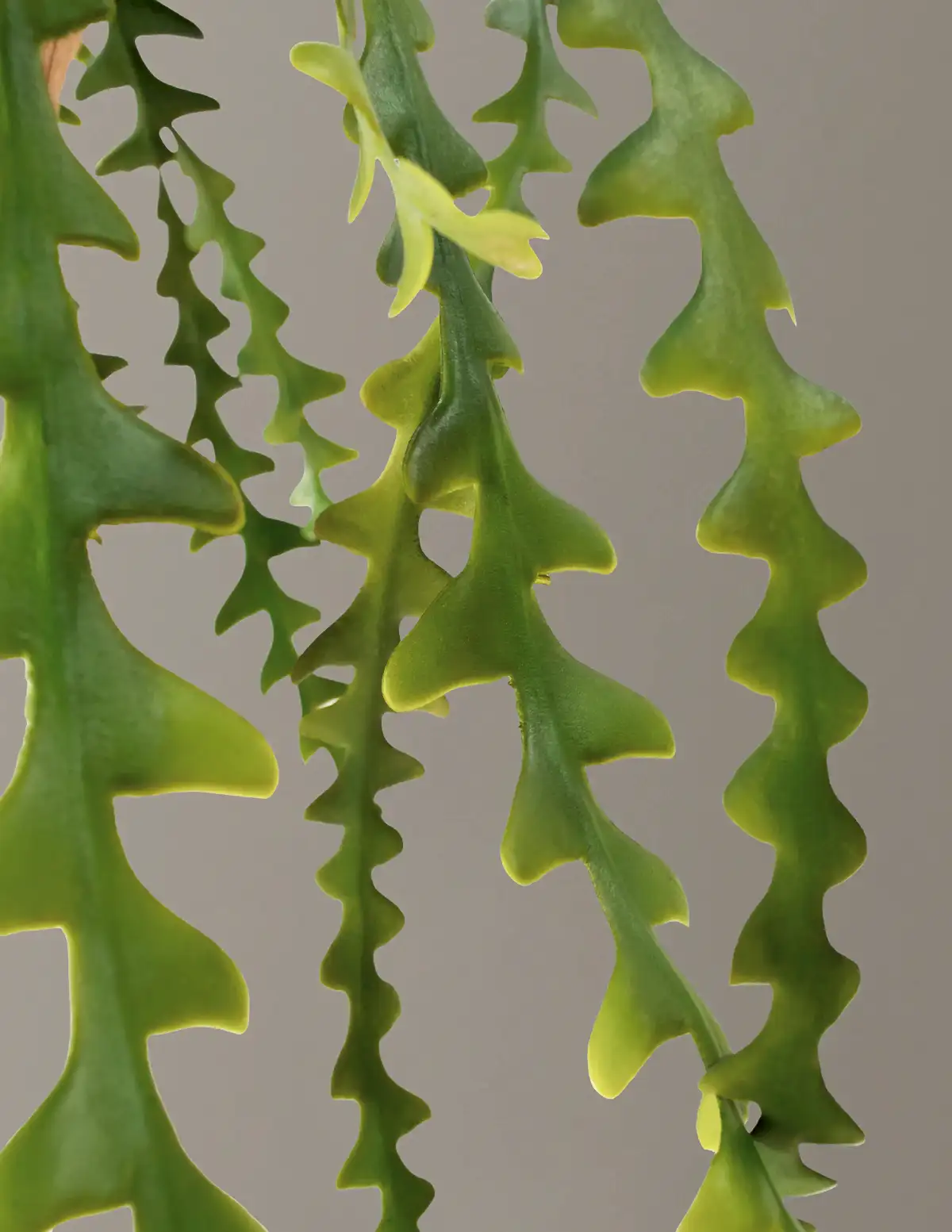 Faux Hanging Ric Rac Cactus