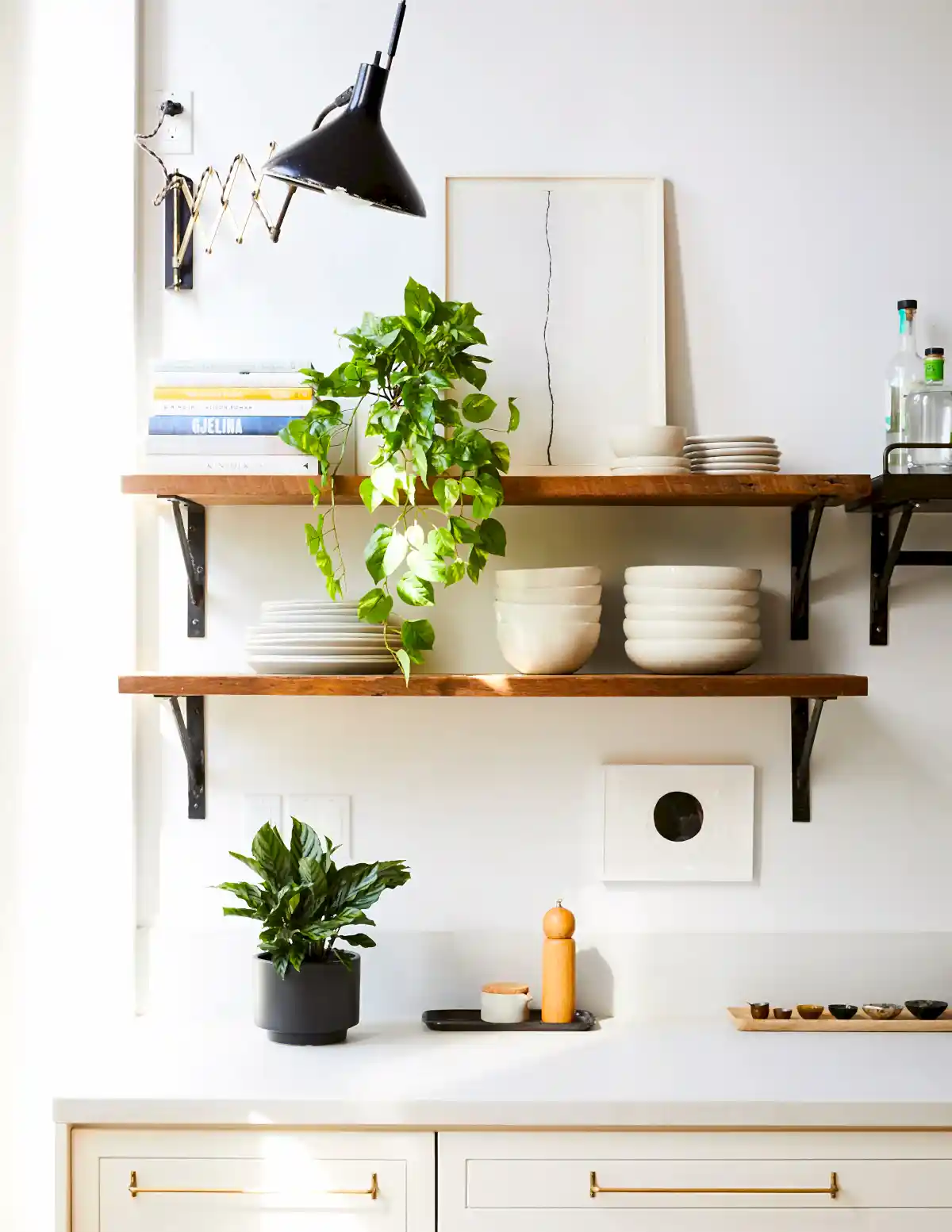 Faux Pothos Plant