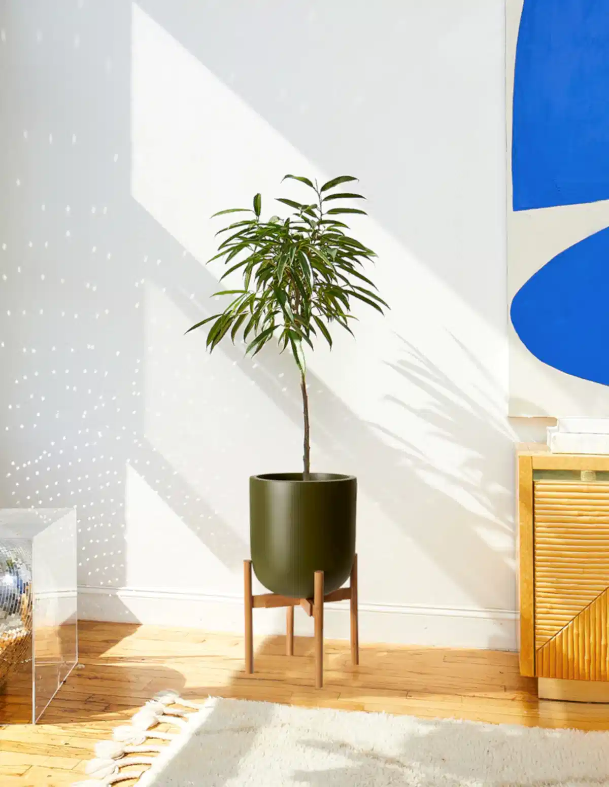 Large Pallas Planter