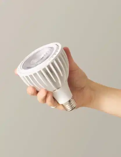 Vita Grow Light Bulb