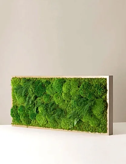 Medium Preserved Living Wall 40" x 18"