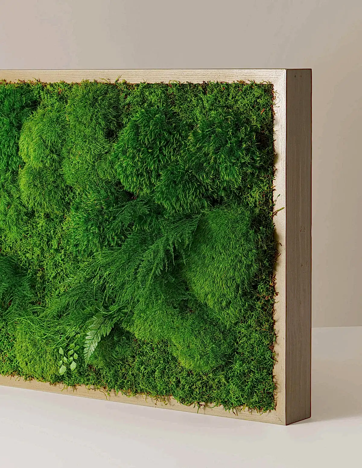 Medium Preserved Living Wall 40" x 18"