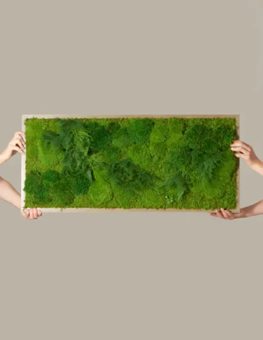 Medium Preserved Living Wall 40" x 18"