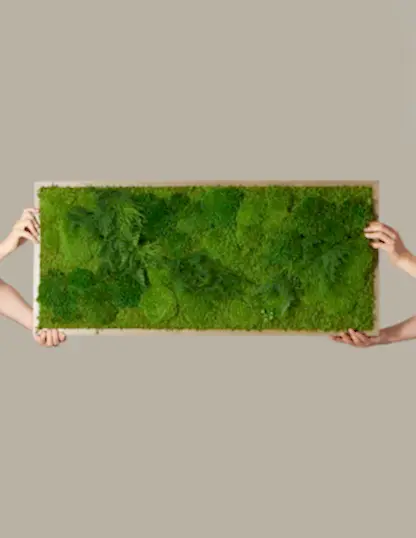 Medium Preserved Living Wall 40" x 18"