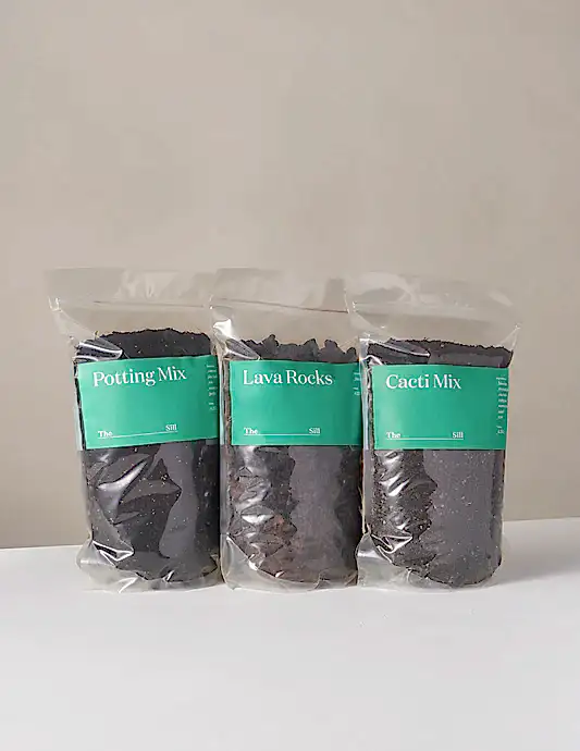 Potting Supplies Trio
