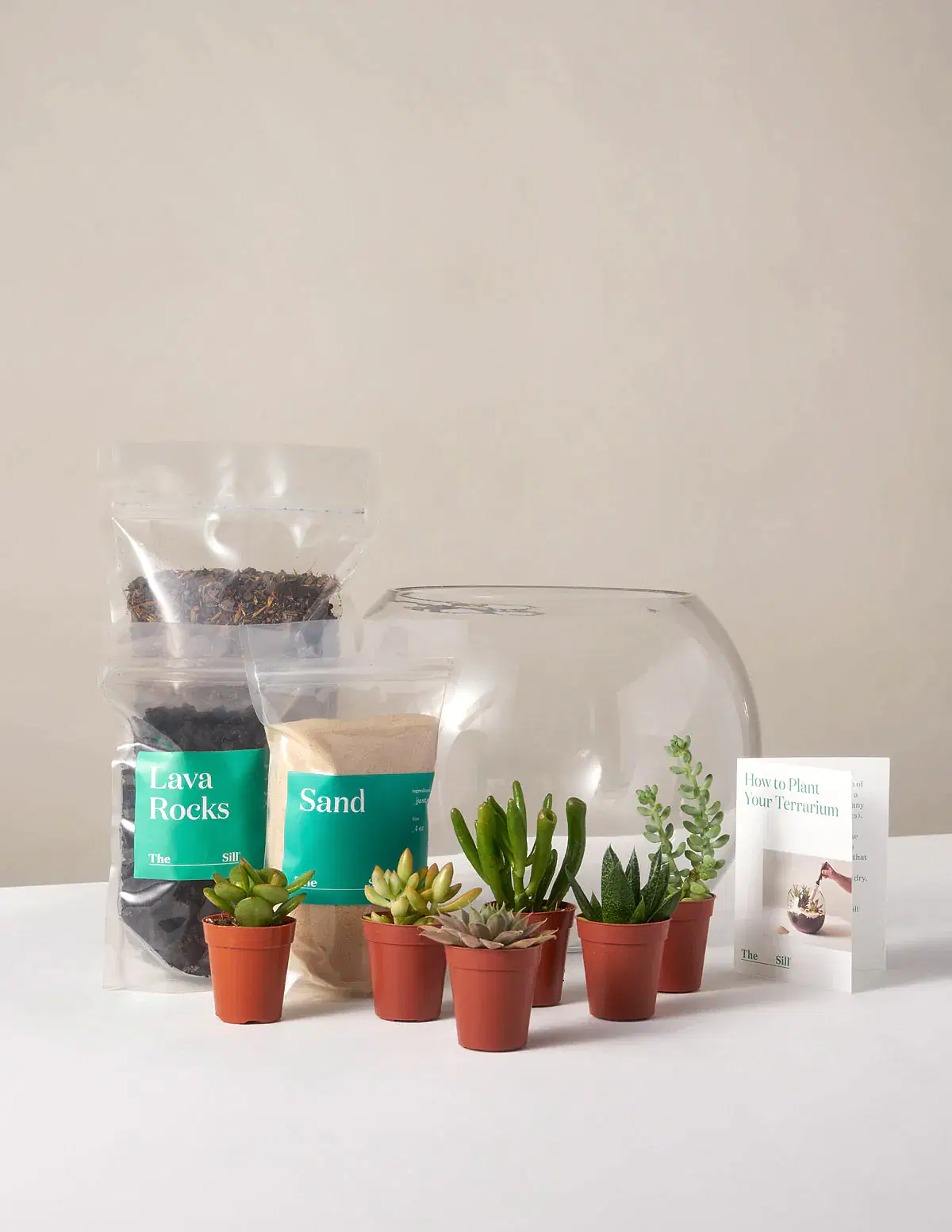DIY Terrarium Kit